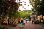 Let us help you find the perfect Aspen vacation rental